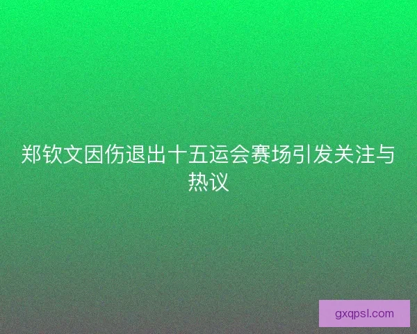 郑钦文因伤退出十五运会赛场引发关注与热议