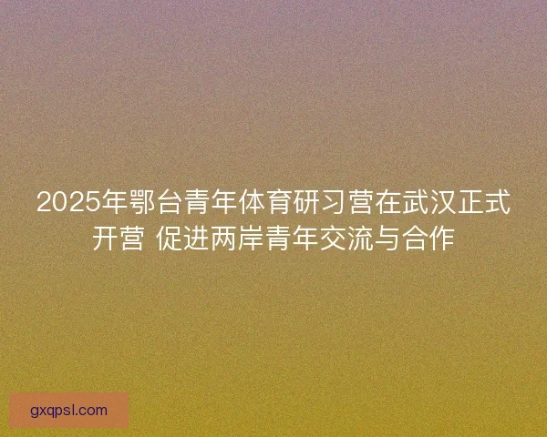 2025年鄂台青年体育研习营在武汉正式开营 促进两岸青年交流与合作
