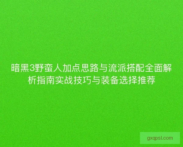 暗黑3野蛮人加点思路与流派搭配全面解析指南实战技巧与装备选择推荐